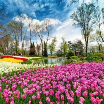 Turkiye Plus Dubai in Spring (Special Tulip Emirgan) | 03 - 11 April 2026